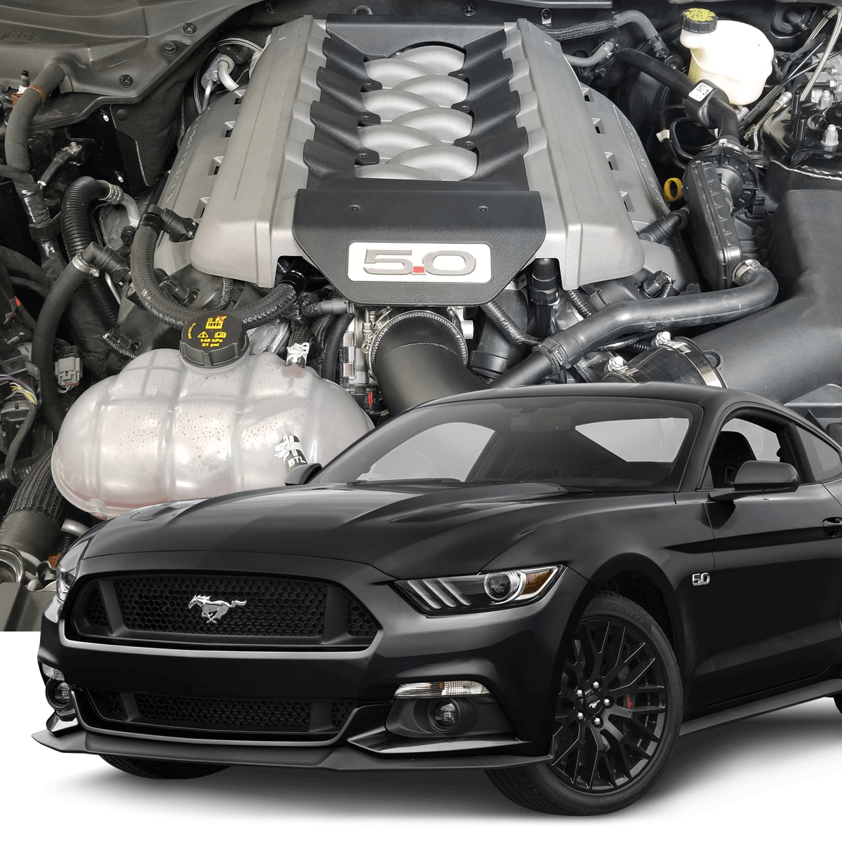 Hellion 2015-2017 RHD Ford Mustang GT Street Sleeper Hidden Twin Turbo System