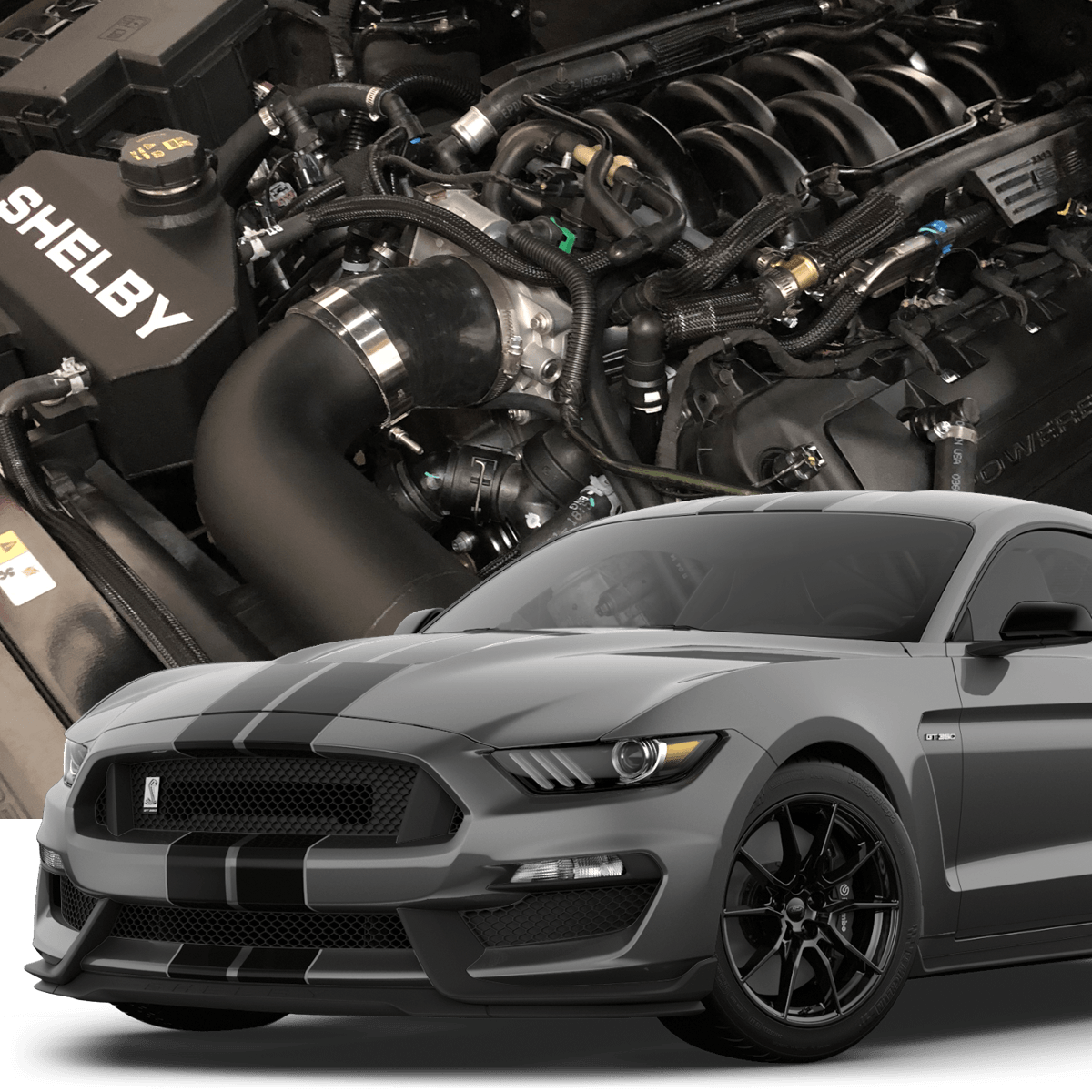 Shelby gt350 performance upgrades deals