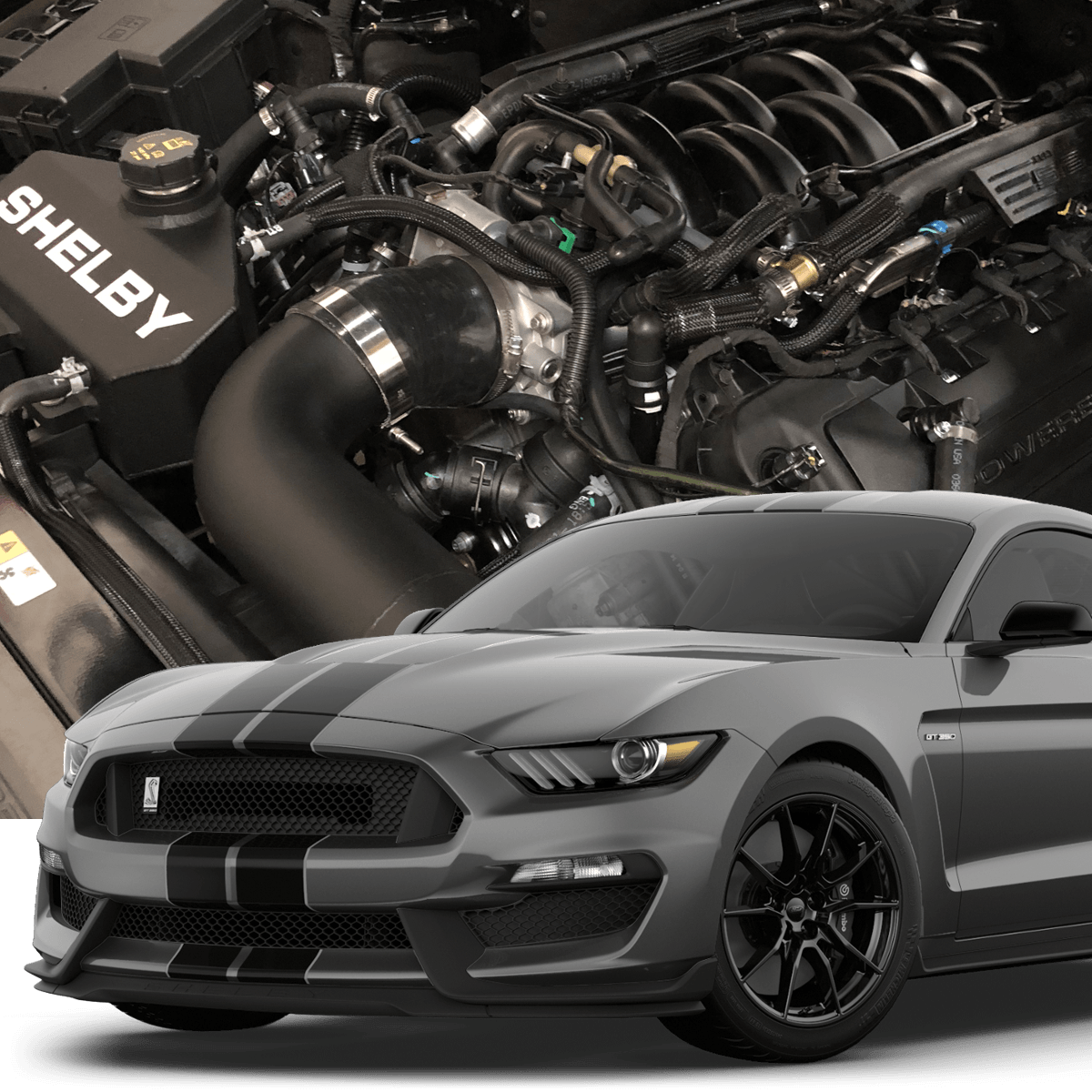 Hellion 2016+ Ford Mustang Shelby GT350 Street Sleeper Hidden Twin Turbo System