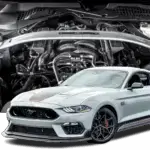 Hellion 2021-2023 Ford Mustang Mach Twin Turbo System